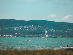 balaton horgászkaró